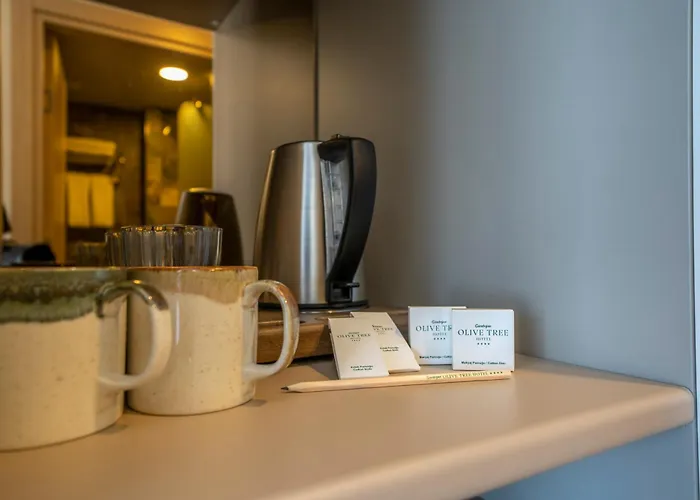 מלון Olive Tree בודרום